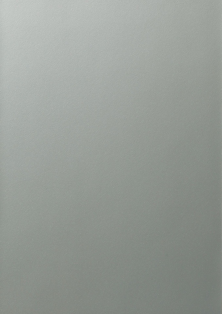 FX - 660 mm (Renolit EXOFOL Decors: FX SILVER D SMOOTH 02.12.76.000013-808302)