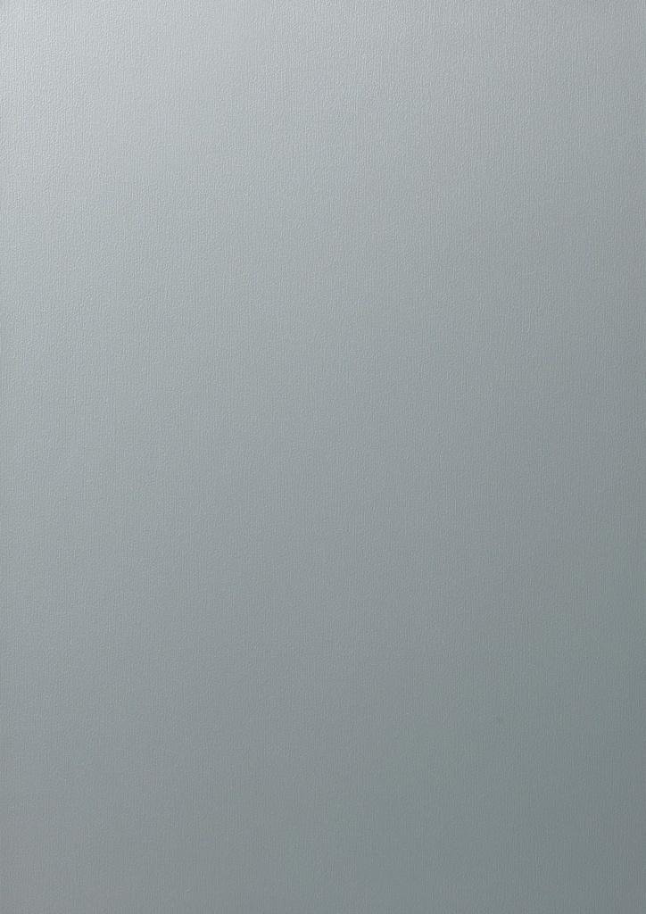 FX - 660 mm (Renolit EXOFOL Decors: FX SILVER V 9705 02.12.76.000014-119501)