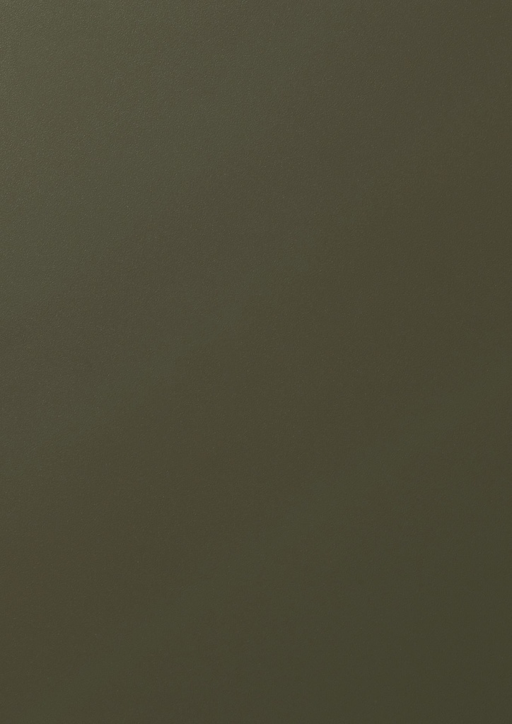 FX - 660 mm (Renolit EXOFOL Decors: FX FLEMISH GOLD C-33 N SMOOTH 02.12.81.000062-808302)