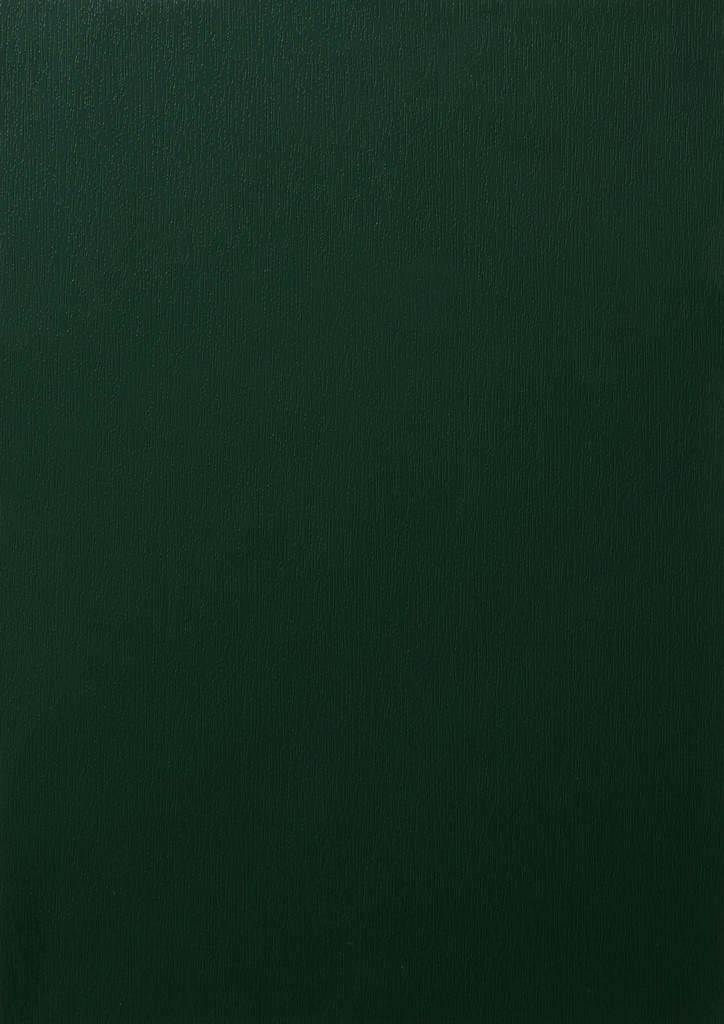 MX - 1320 mm (Renolit EXOFOL Decors: MX DARK GREEN 6125 02.11.61.000009 - 116700)