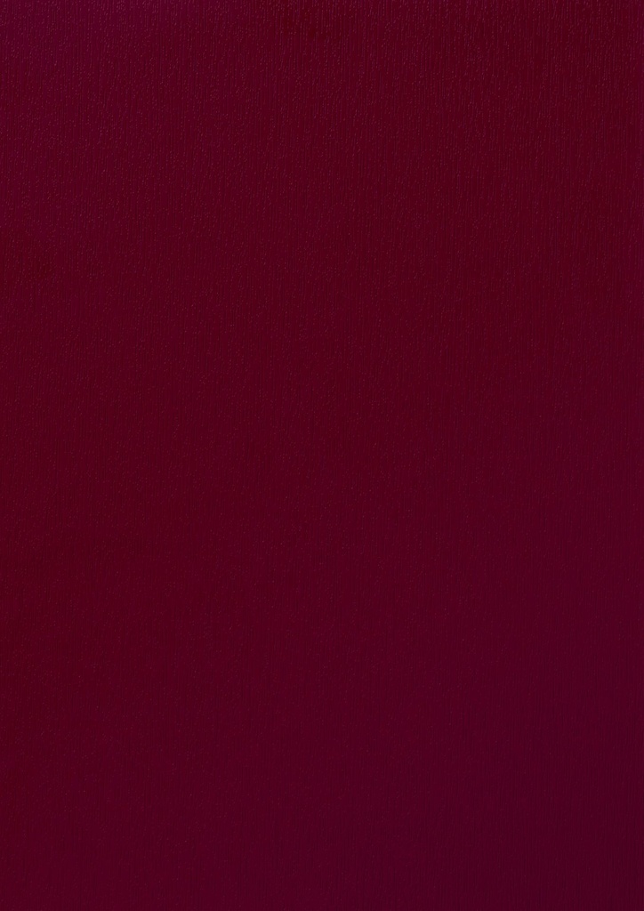 MX - 1320 mm (Renolit EXOFOL Decors: MX WINE RED 3005 02.11.31.000012 - 116700)
