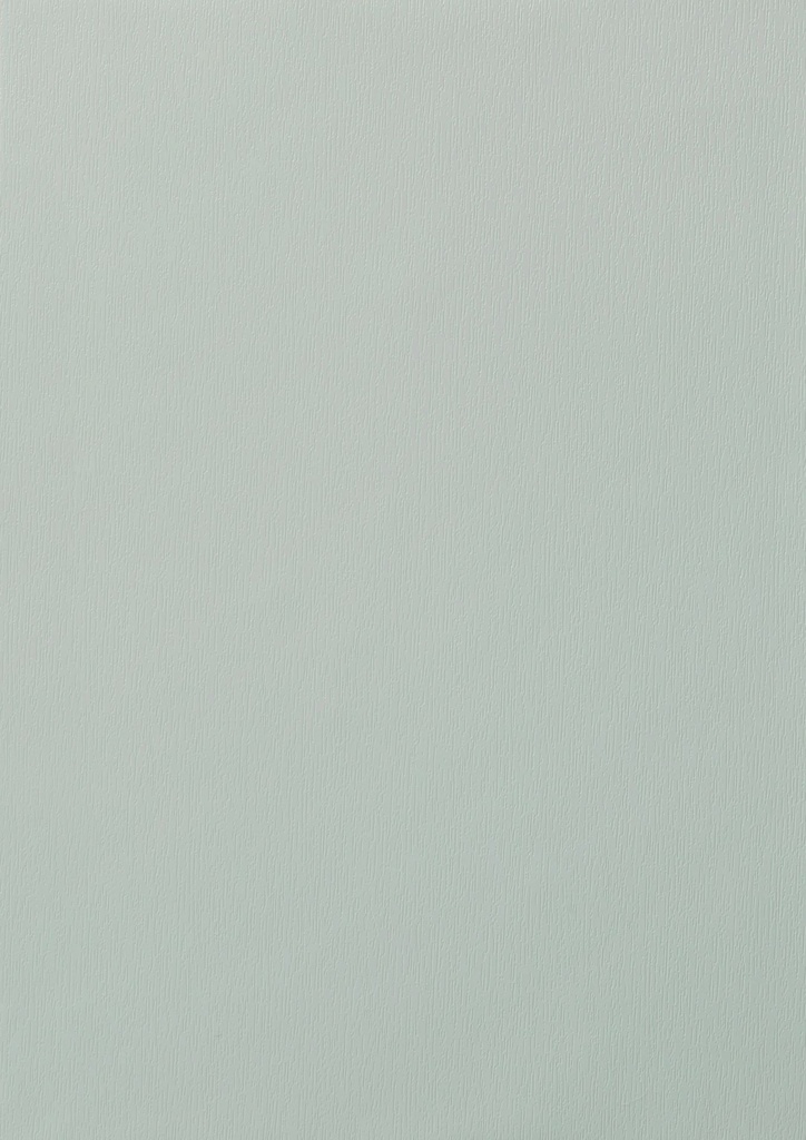 PX - 1320 mm (Renolit EXOFOL Decors: PX AGATE GREY 7038 - 02.20.71.000005 - 116700)