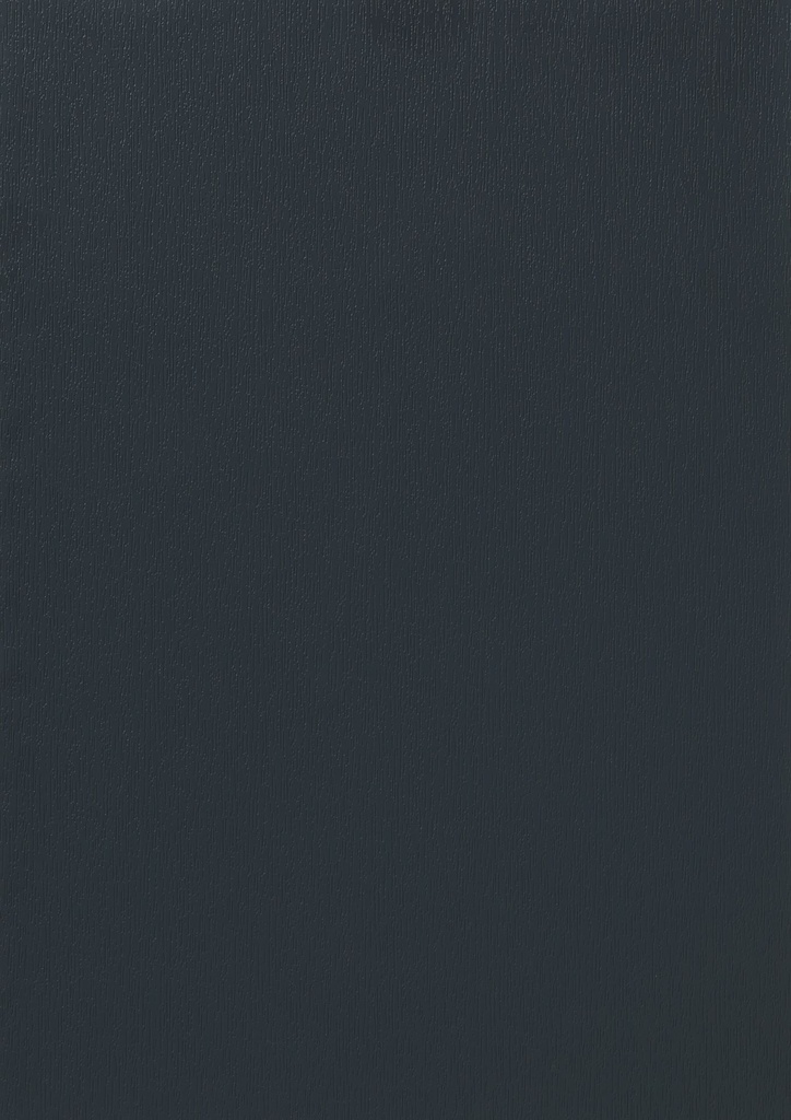 PX - 1320 mm (Renolit EXOFOL Decors: PX ANTHRACITE GREY 7016 02.20.71.000001 - 116700)