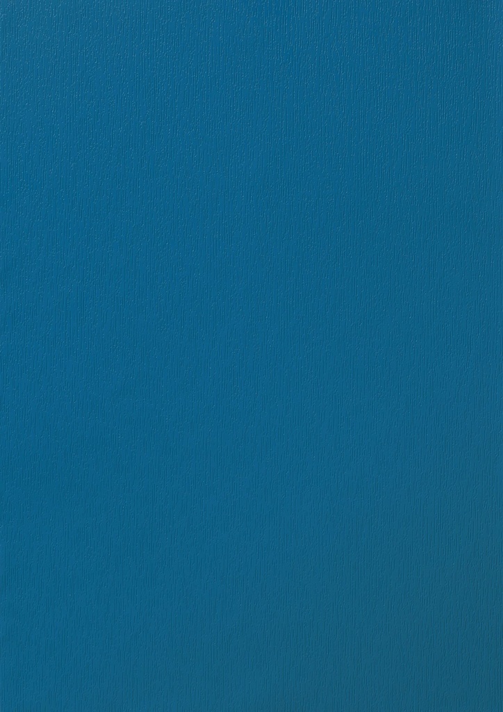 PX - 1320 mm (Renolit EXOFOL Decors: PX BRILLIANT BLUE 5007 02.20.51.000002 - 116700)