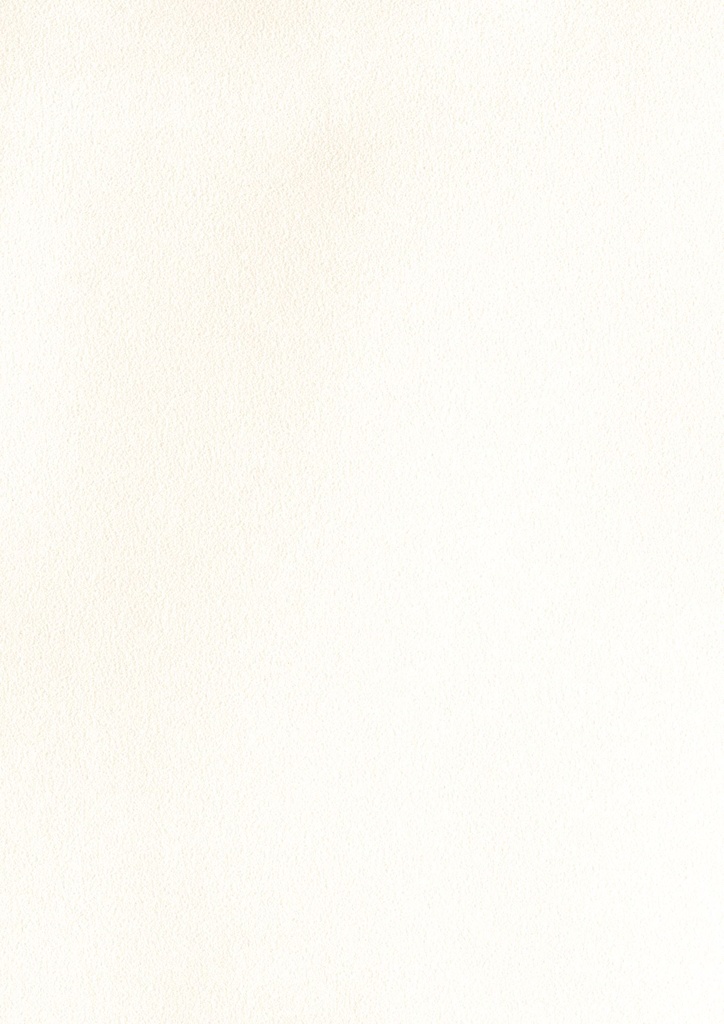 PX - 1320 mm (Renolit EXOFOL Decors: PX WHITE 9152 ULTI-MATT 02.20.91.000001-504700)