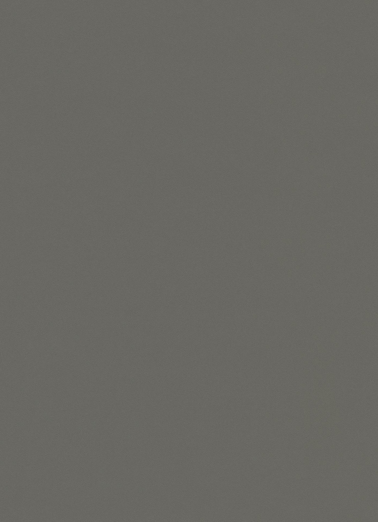 PX - 1320 mm (Renolit EXOFOL Decors: PX EDEN GREY 02.20.70.000043-504700)
