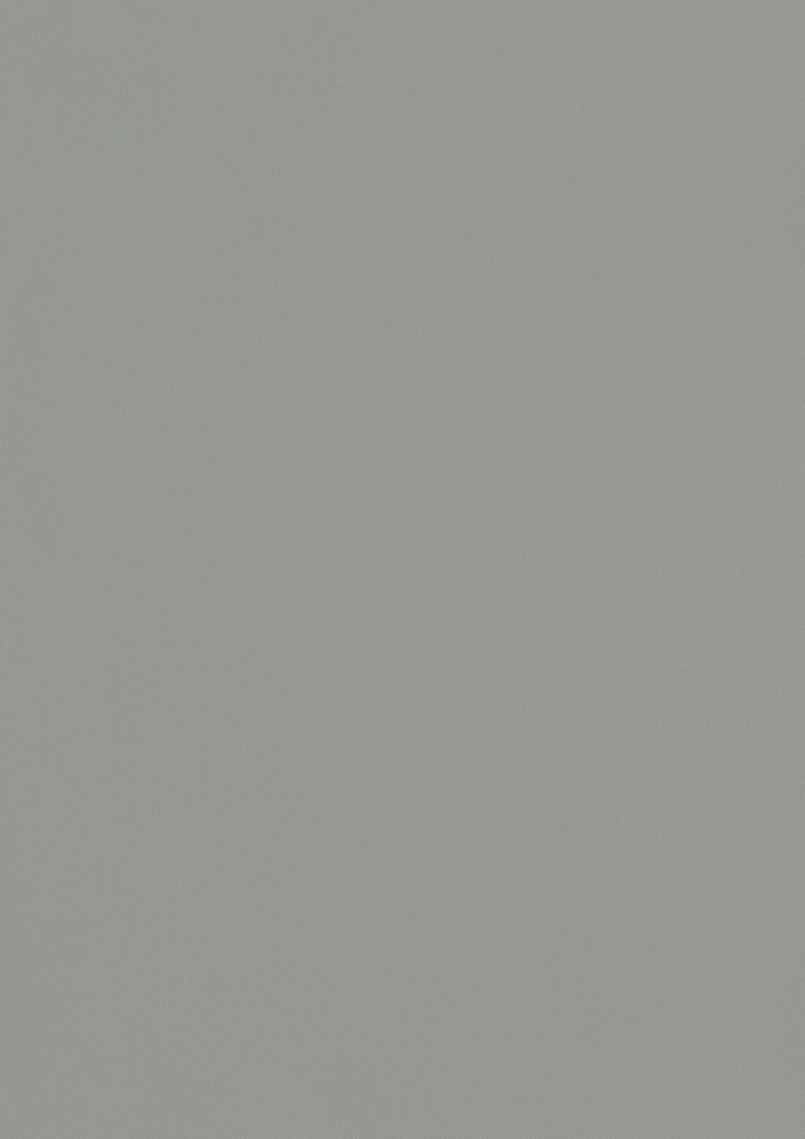 PX - 1320 mm (Renolit EXOFOL Decors: PX SIGNAL GREY ULTI-MATT 02.20.71.000009-504700)