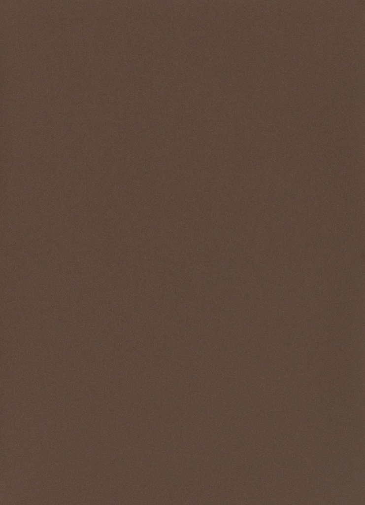 PX - 1320 mm (Renolit EXOFOL Decors: PX SEPIA BROWN 8014 ULTI-MATT 02.20.81.000030-504700)