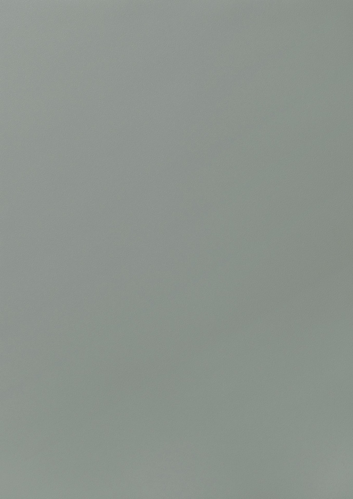 FX - 1320 mm (Renolit EXOFOL Decors: FX MOONDANCE C-31 N SMOOTH 02.12.71.000018-808302)